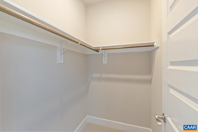 view of walk in closet
