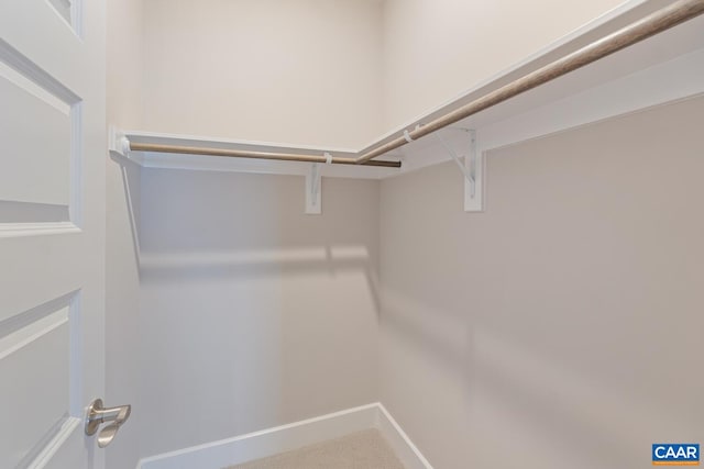 view of spacious closet