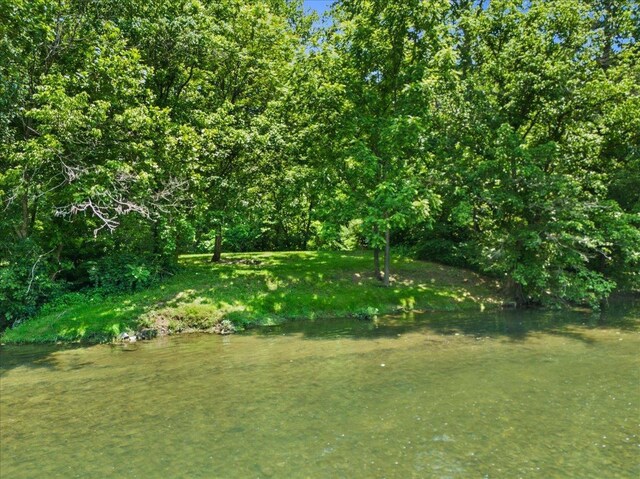 6772 S E Side Hwy, Elkton, VA 22827 - view of yard