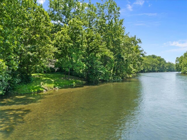 6772 S E Side Hwy, Elkton, VA 22827 - water view featuring a heavily wooded area