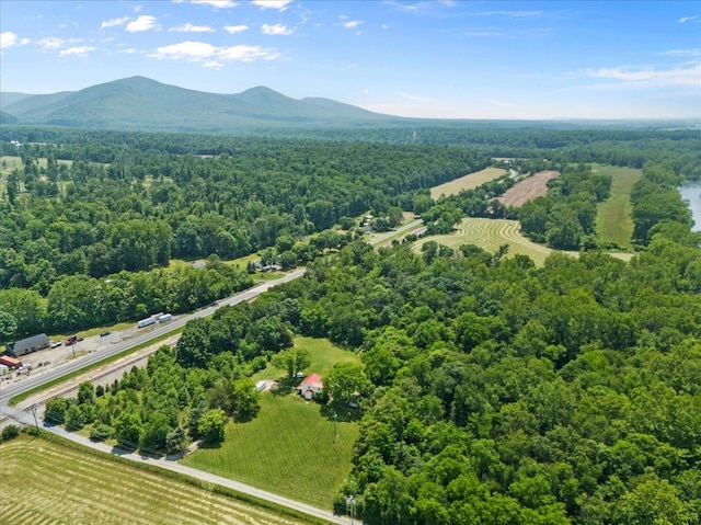 6772 S E Side Hwy, Elkton, VA 22827 - aerial view of a forest and a mountainous background