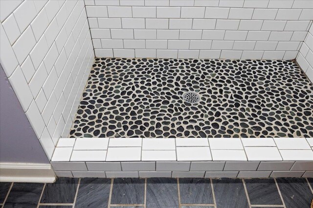 6772 S E Side Hwy, Elkton, VA 22827 - bathroom featuring tiled shower