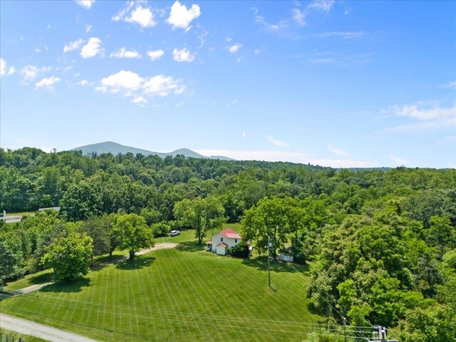 6772 S E Side Hwy, Elkton, VA 22827 - view of subject property featuring a mountain backdrop and a forest