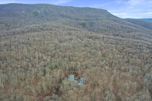 mountain view featuring a forest view