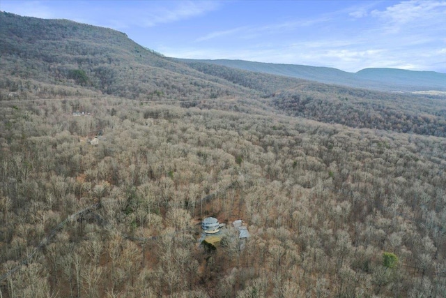 mountain view with a forest view