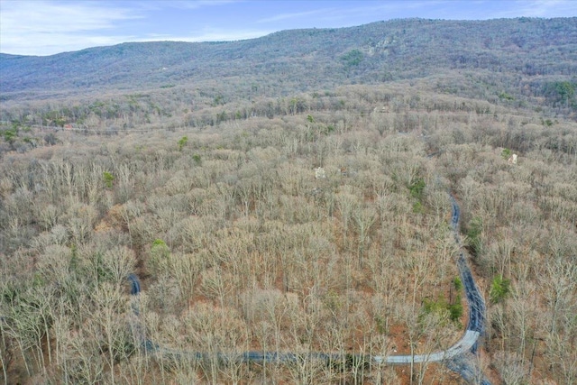 drone / aerial view featuring a mountain view