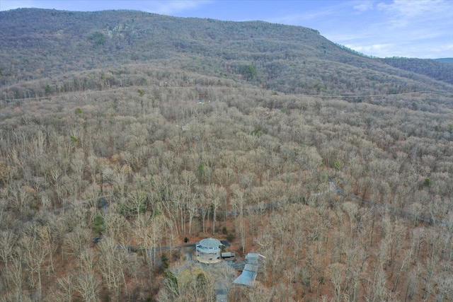 mountain view featuring a wooded view