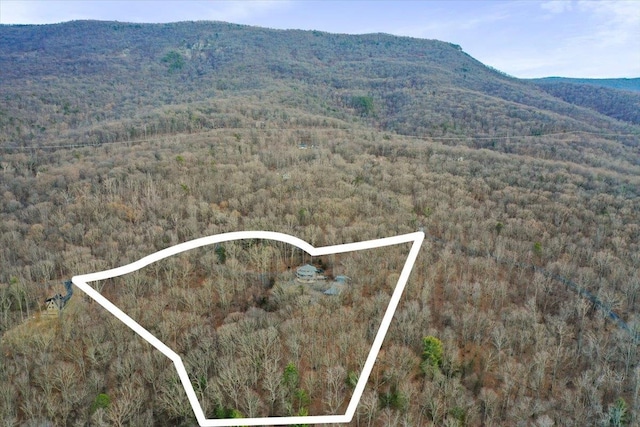 bird's eye view featuring a mountain view and a view of trees