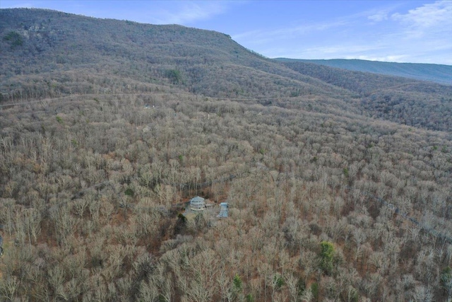 mountain view with a forest view