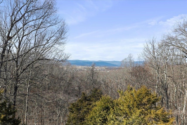 mountain view with a view of trees