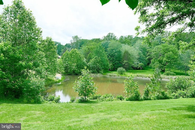 13498 Chesterfield Ln, Culpeper, VA 22701 - water view