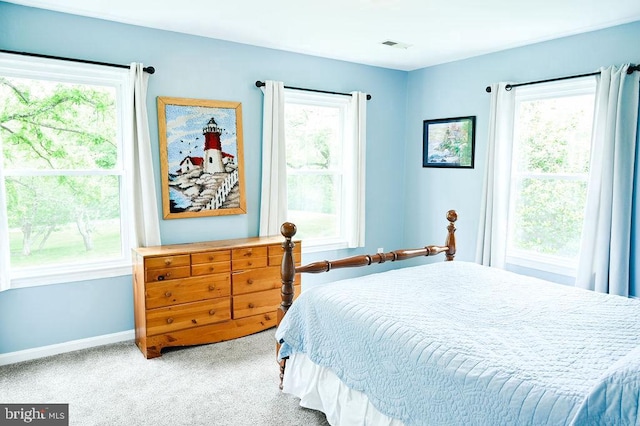13498 Chesterfield Ln, Culpeper, VA 22701 - bedroom with carpet flooring, baseboards, and multiple windows