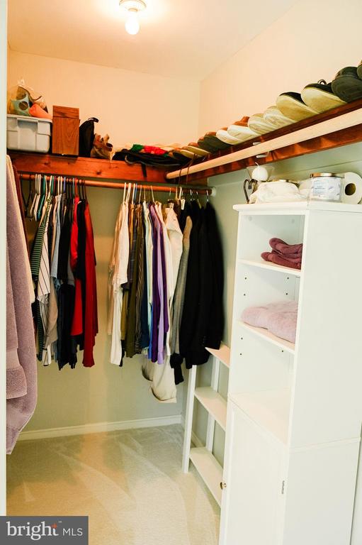 13498 Chesterfield Ln, Culpeper, VA 22701 - walk in closet with carpet floors