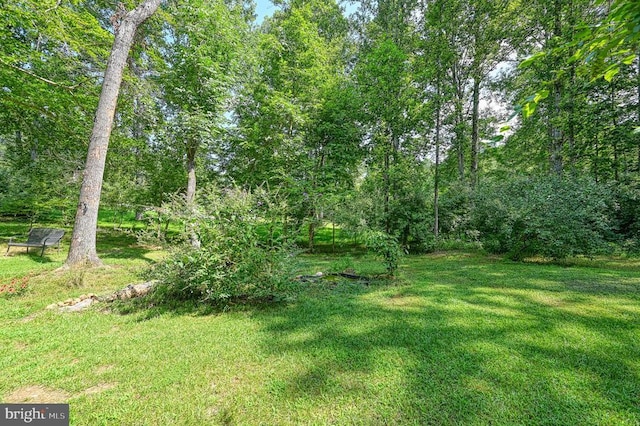 6121 Belmont Rd, Mineral, VA 23117 - photo 5