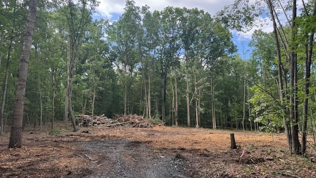 LOT8 Moreland Gap Rd, New Market, VA 22844