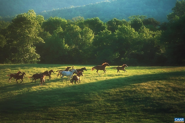 view of property's community with a rural view and a yard