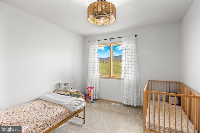 1001 Woodward Rd, Sperryville, VA 22740 - bedroom featuring carpet and baseboards