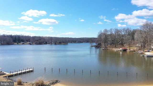 228 Poplar Dr, Louisa, VA 23093 - water view with a heavily wooded area
