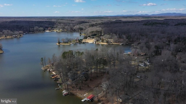 228 Poplar Dr, Louisa, VA 23093 - aerial overview of property's location featuring a heavily wooded area and a nearby body of water