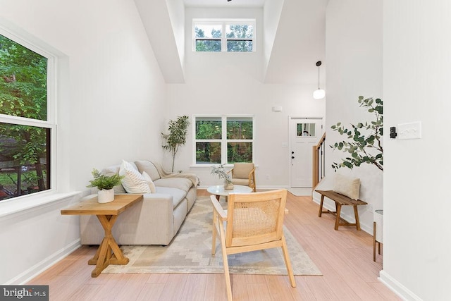 228 Poplar Dr, Louisa, VA 23093 - living area with a towering ceiling, light wood finished floors, and baseboards