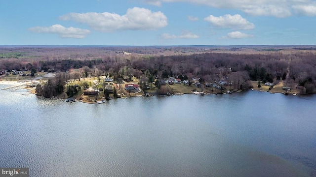 228 Poplar Dr, Louisa, VA 23093 - aerial view of a heavily wooded area and a large body of water