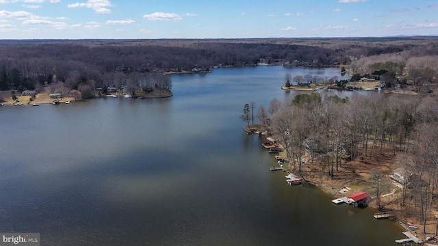 228 Poplar Dr, Louisa, VA 23093 - view of property location featuring a nearby body of water and a heavily wooded area
