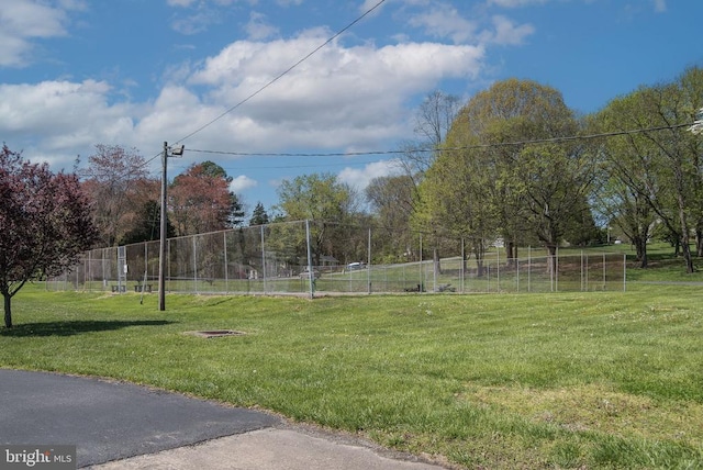 228 Poplar Dr, Louisa, VA 23093 - view of yard