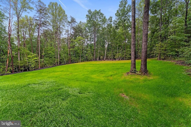 228 Poplar Dr, Louisa, VA 23093 - view of grassy yard