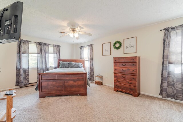 257 Edgewood Dr, Shenandoah, VA 22849 - photo 31