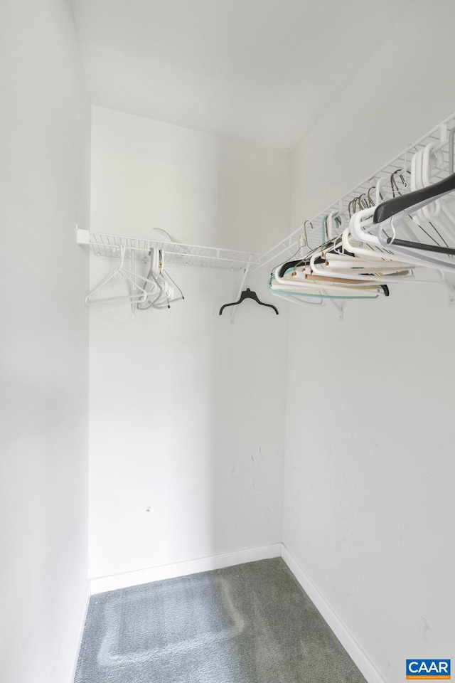 3590 Mountain Hill Rd, Palmyra, VA 22963 - walk in closet with carpet