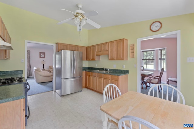 3590 Mountain Hill Rd, Palmyra, VA 22963 - kitchen featuring appliances with stainless steel finishes, dark countertops, a ceiling fan, and light flooring