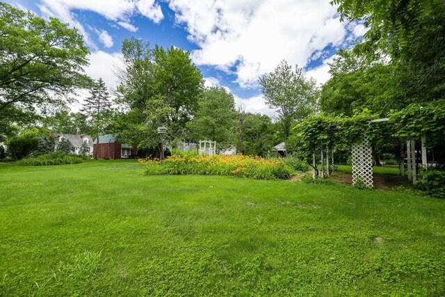 104 College St W, Bridgewater, VA 22812 - photo 75