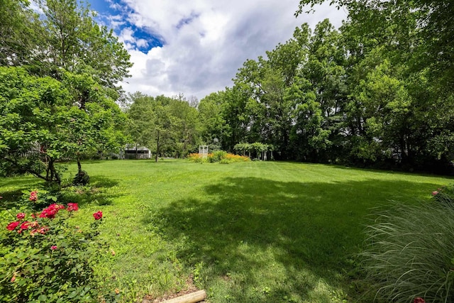 104 College St W, Bridgewater, VA 22812 - photo 74