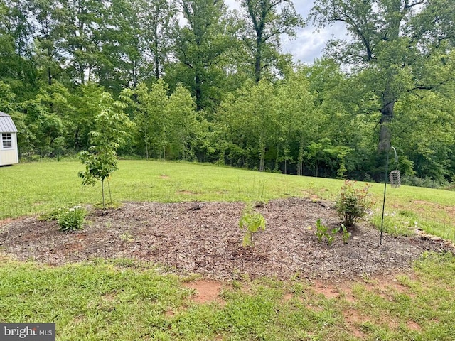 1875 Oneals Rd, Madison, VA 22727 - view of green lawn with a view of trees