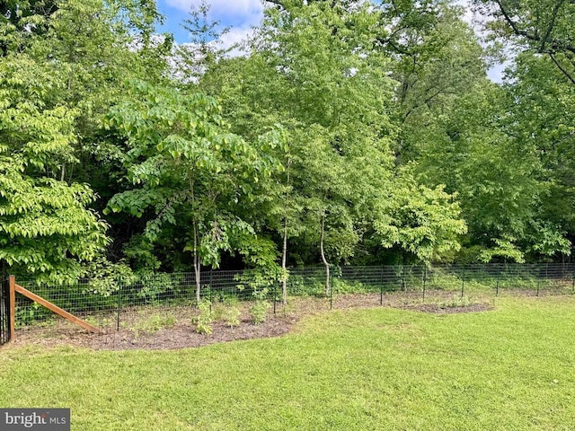 1875 Oneals Rd, Madison, VA 22727 - view of yard