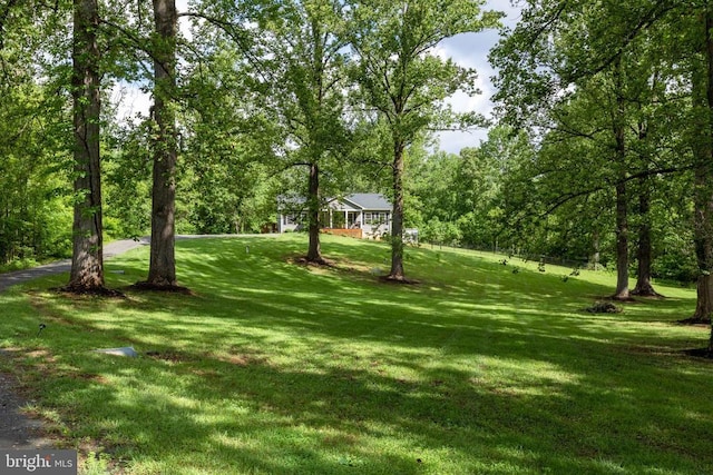 1875 Oneals Rd, Madison, VA 22727 - view of grassy yard