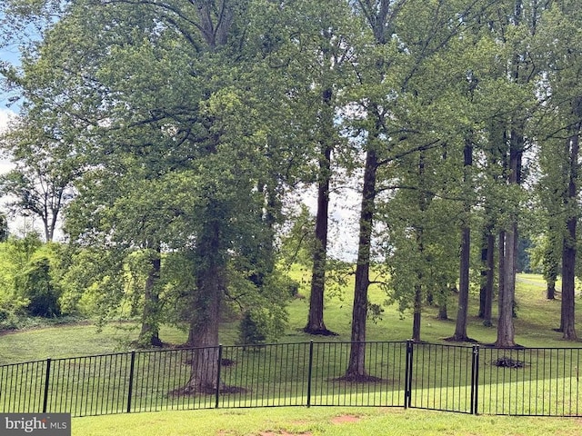 1875 Oneals Rd, Madison, VA 22727 - view of yard