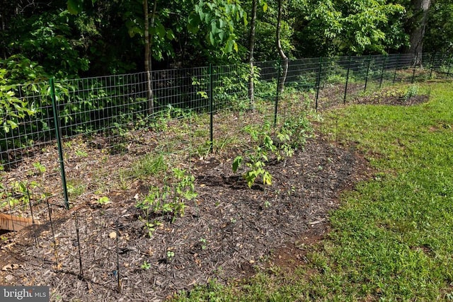 1875 Oneals Rd, Madison, VA 22727 - view of yard featuring a vegetable garden