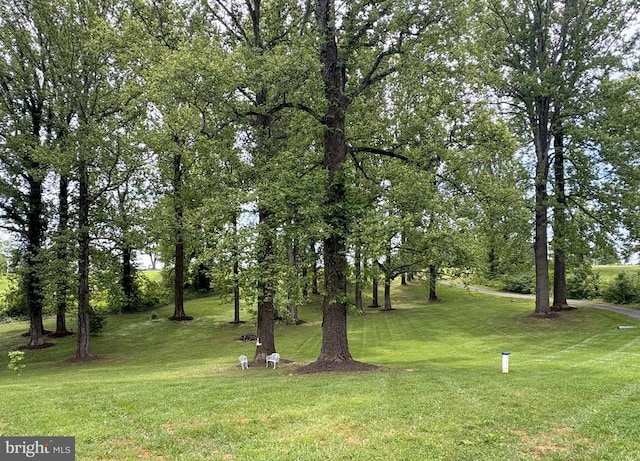 1875 Oneals Rd, Madison, VA 22727 - view of grassy yard featuring view of scattered trees