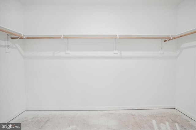 view of walk in closet