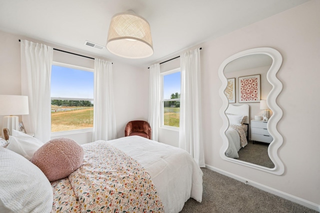 228 Camden Dr, Waynesboro, VA 22980 - carpeted bedroom featuring baseboards