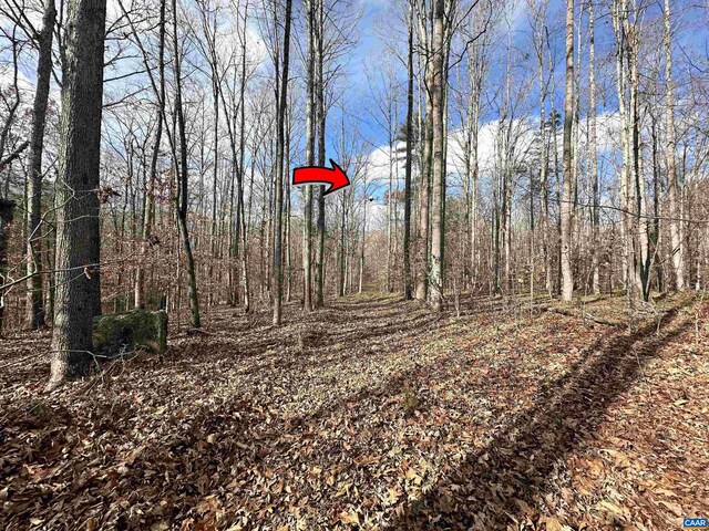 Gilbert Station Rd, Barboursville, VA 22923 - photo 11