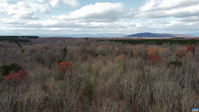 Gilbert Station Rd, Barboursville, VA 22923 - photo 8