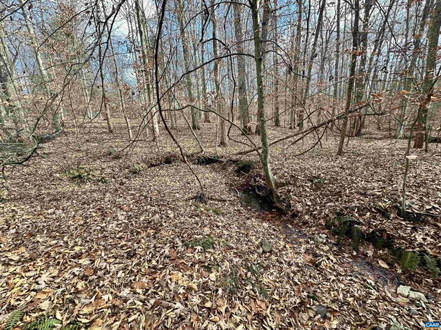 Gilbert Station Rd, Barboursville, VA 22923 - photo 12