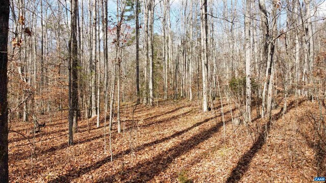 Gilbert Station Rd, Barboursville, VA 22923 - photo 13