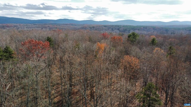 Gilbert Station Rd, Barboursville, VA 22923 - photo 19