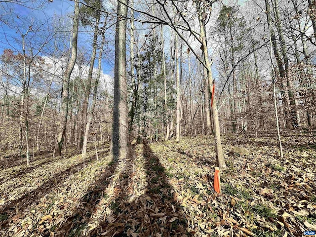 Gilbert Station Rd, Barboursville, VA 22923 - photo 9
