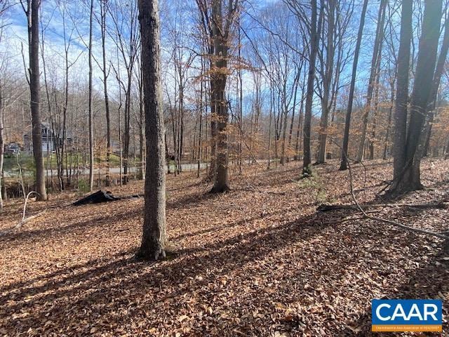 0 Merion Dr, Gordonsville, VA 22942 - photo 4