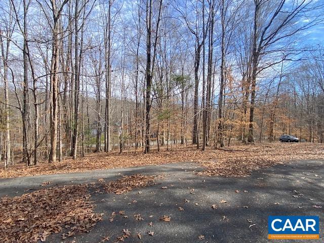 0 Merion Dr, Gordonsville, VA 22942 - photo 5