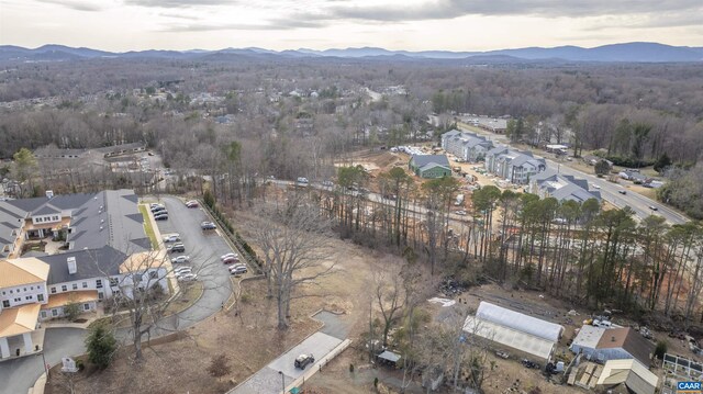 0 Eckerson Ct, Charlottesville, VA 22901